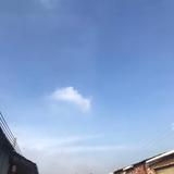 用户9214102906583头像