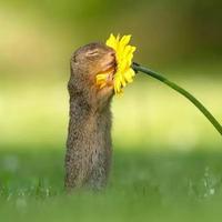 勇往直前的面条LET头像