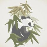 北京Panda房车头像