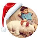 Monad的个人资料头像