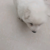 林在远头像
