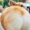 影游大杂烩头像