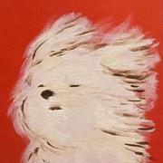 路遥星亦辞的个人资料头像