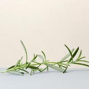 srcaobingo的个人资料头像