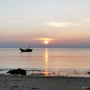 胡萝卜就是我的个人资料头像