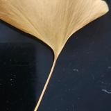 雨天7b9A头像