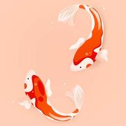 An615的个人资料头像