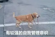 李翠花的个人资料头像