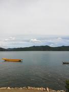 clydee的个人资料头像