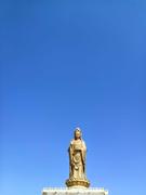 米酒啊的个人资料头像