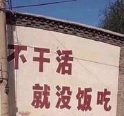 四舅拿根烟来的个人资料头像