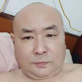 树上等红杏头像