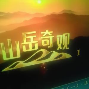 东岳说事头像