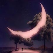 恒亖的个人资料头像