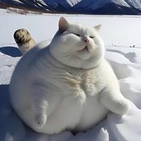 犀牛212116961头像