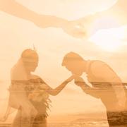 yip的个人资料头像