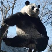 小强521的个人资料头像