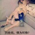 黔贵风云头像