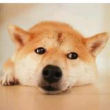遇见头像