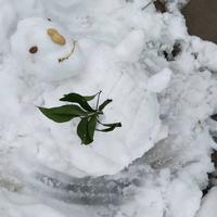 小小球看世界头像