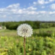 穿拖板鞋的青年的个人资料头像