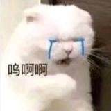 絮头像
