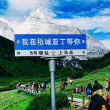 懿徳景仰头像