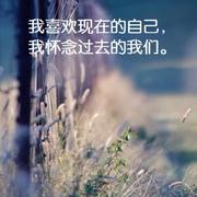 sai的个人资料头像