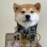 飞扬的赤旗头像