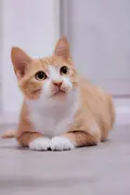 龙大LLong的个人资料头像