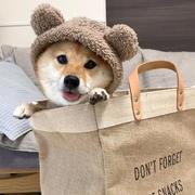 tan342的个人资料头像