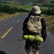 努力努力载努力的个人资料头像