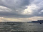 会飞的小菜鸟的个人资料头像