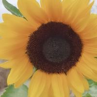 用户5656082918976头像