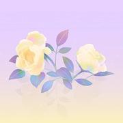 IAL的个人资料头像