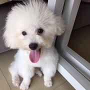 Autism9935的个人资料头像