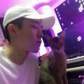 心野性子污.头像