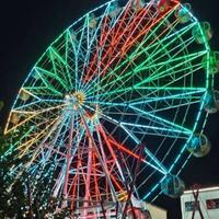 用户2687272278181头像