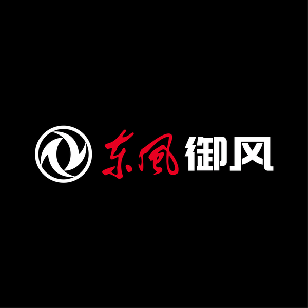 东风御风武汉黄金口店头像