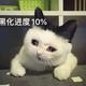 misaya破晓头像