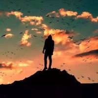 用户415621611447头像