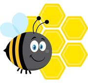 小蜜蜂的工作室的个人资料头像