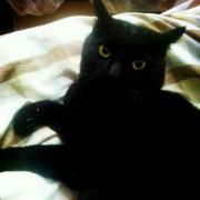 ddnionio的个人资料头像