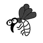 CCC181的个人资料头像