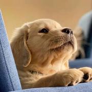 ddd971的个人资料头像