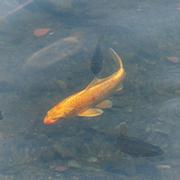 zzh79的个人资料头像