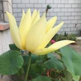 用户325359526116头像