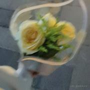 糖醋里脊没了的个人资料头像