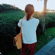 小小398的个人资料头像