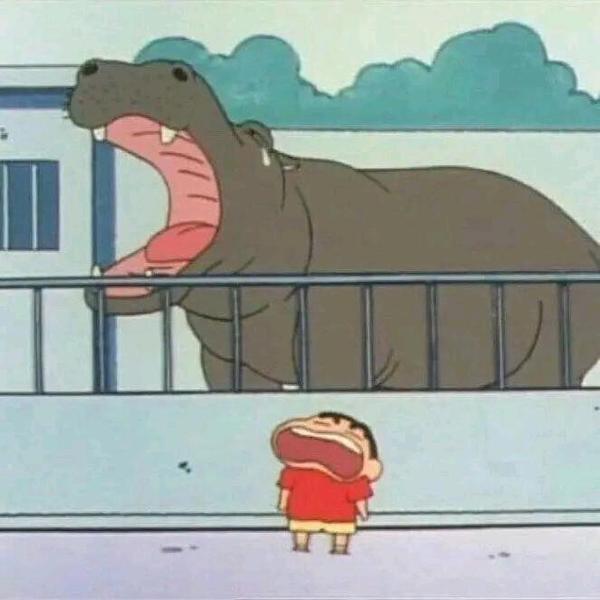 用户9053802707074头像